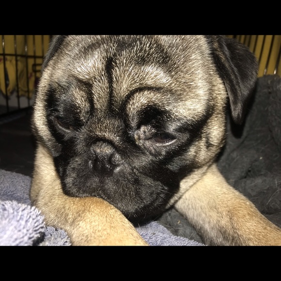 Meet your Posher, Meagan - Picture 1 of 1